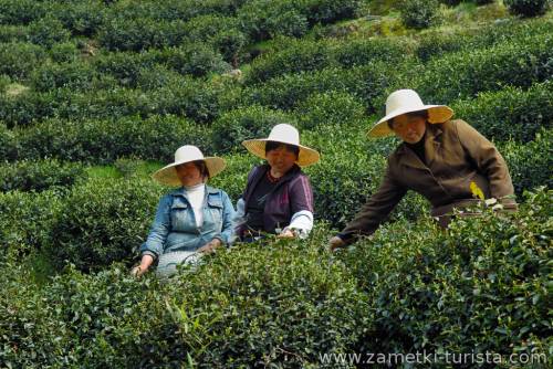 Природа и экология острова Хайнань. Китай.