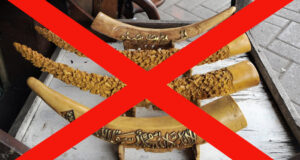 изделия из слоновой кости