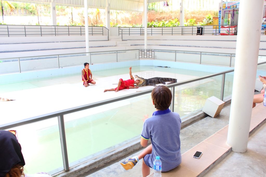 Крокадиловая ферма