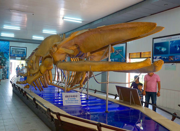 Национальный океанографический музей Вьетнама